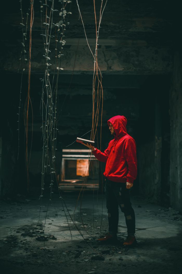 A man in a red hoodie jacket reads a book in a dimly lit room with hanging vines.